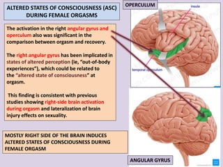Brain Damage Orgasm